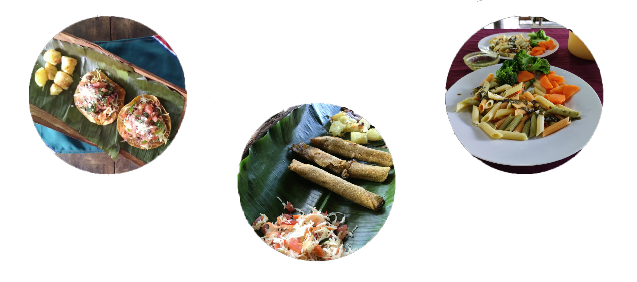 platos