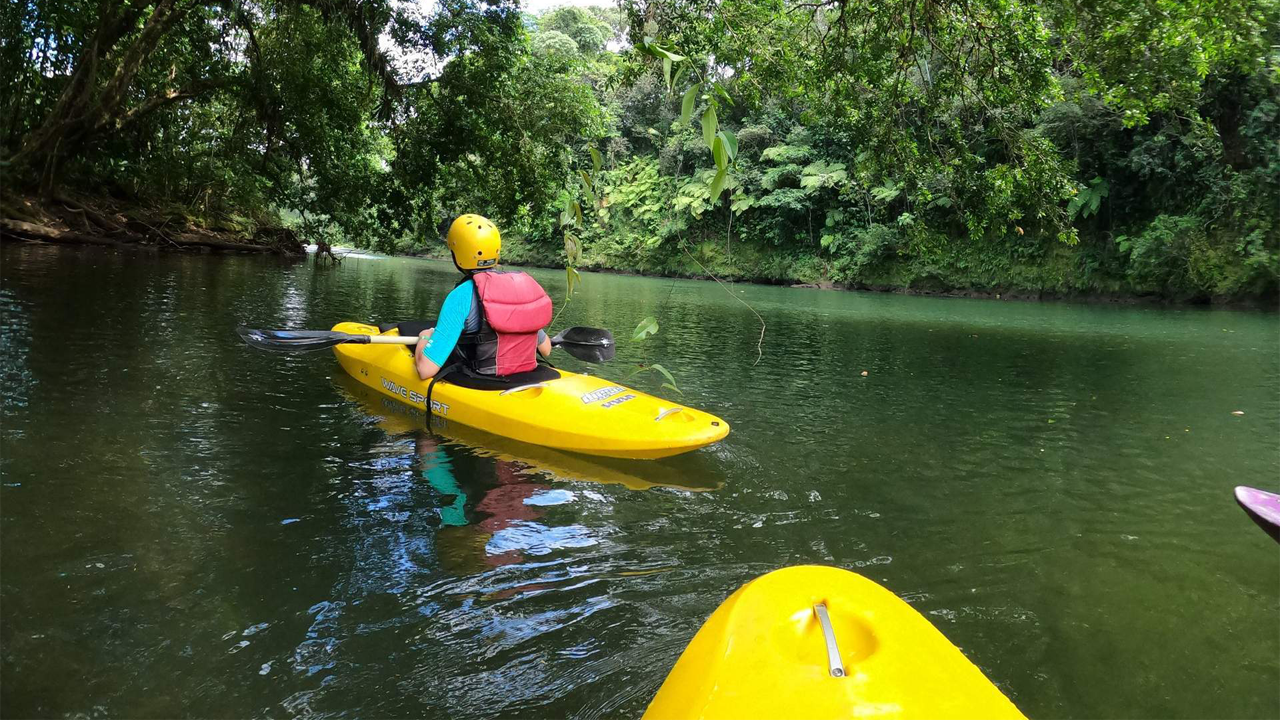 Image of Kayak Jungle Tour in Sarapiqui